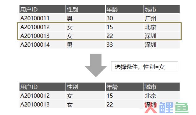 一个埋点的求生之路——数据处理全流程解析