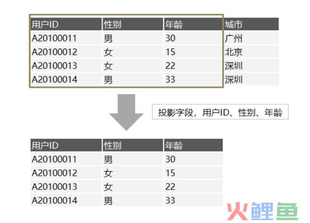 一个埋点的求生之路——数据处理全流程解析