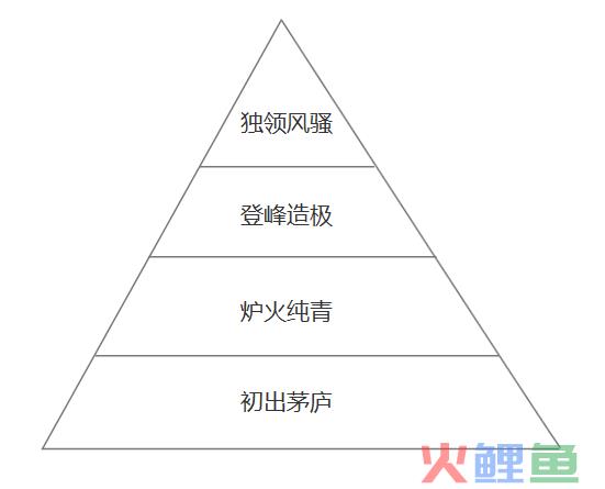 浅析用户分层运营之金字塔模型（附案例解读）
