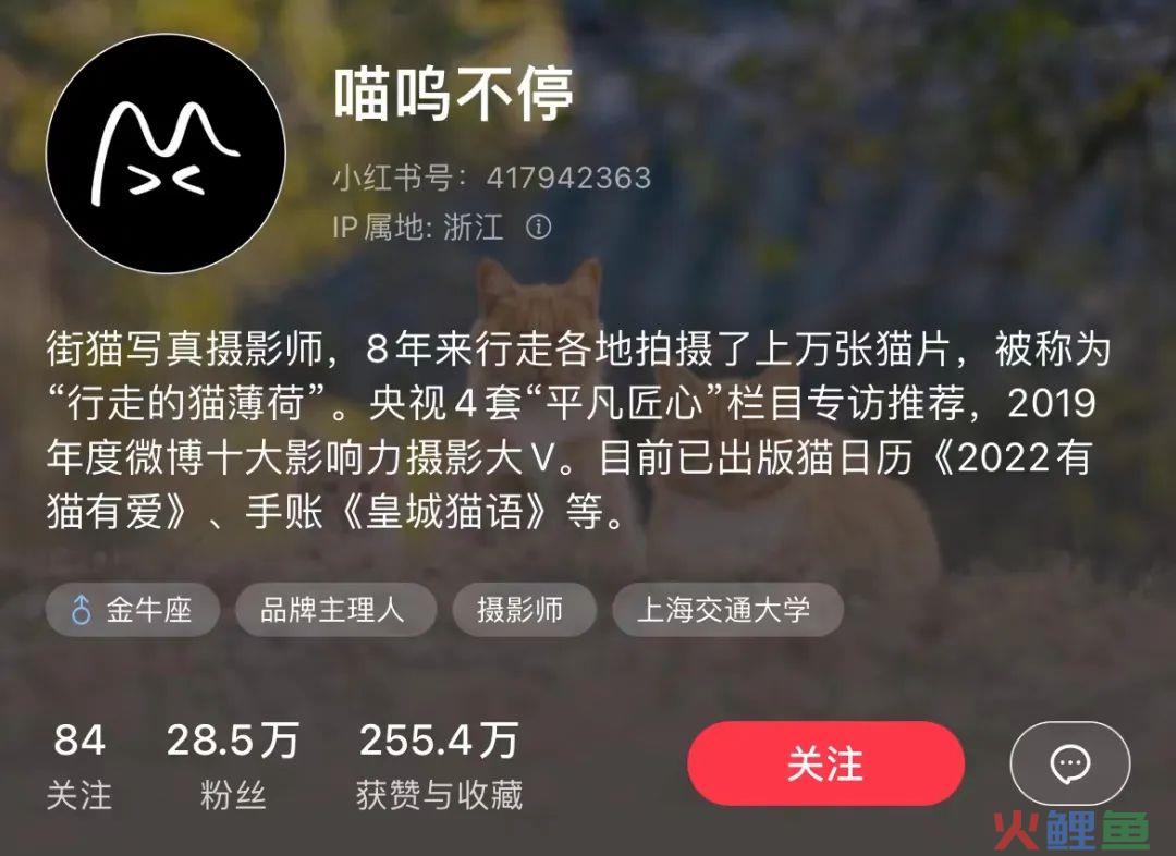 小红书个人博主如何快速涨粉？拆解1年涨粉88万的君君辅食记