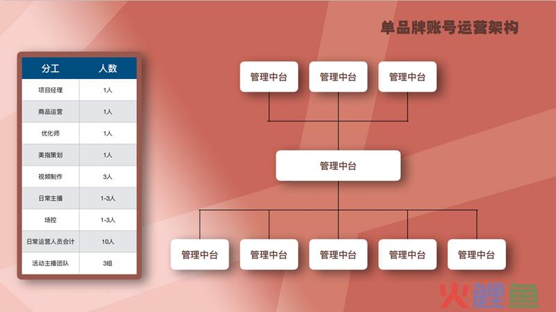 抖音代运营团队哪里找