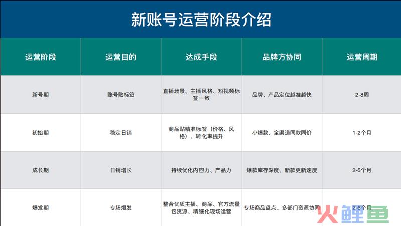 抖音代运营团队哪里找