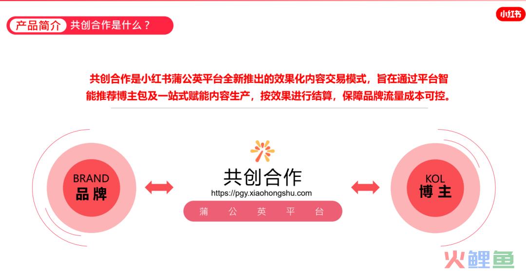 小红书问答手册V1.0：一份关于账号定位、引流、违规、投放的小红书百科【建议收藏】