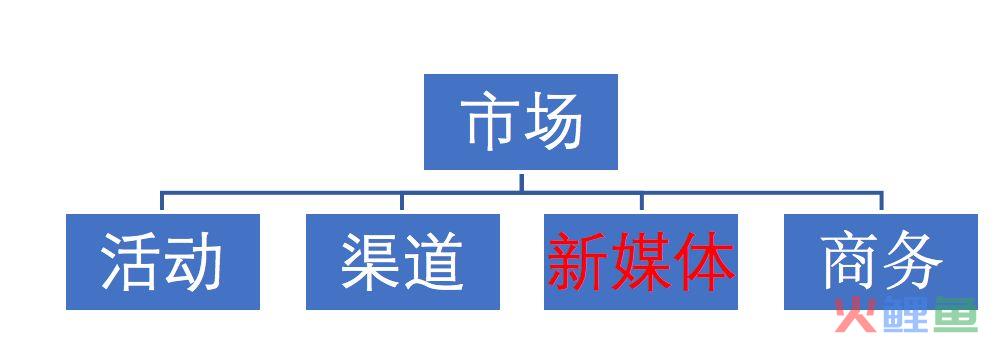 8700字详解，新媒体矩阵搭建不完全指南！