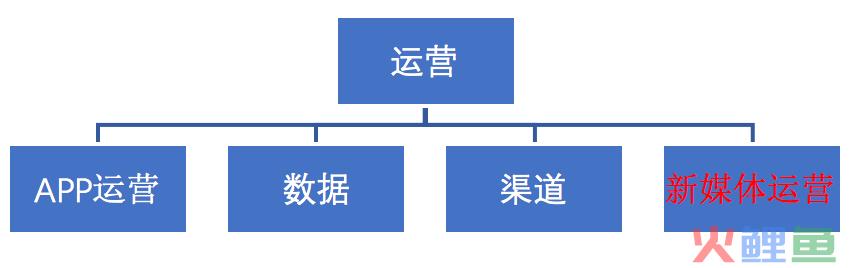 8700字详解，新媒体矩阵搭建不完全指南！