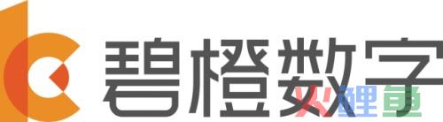 2021国内十大电商代运营公司排名宝尊碧橙数字青木科技等位居前列