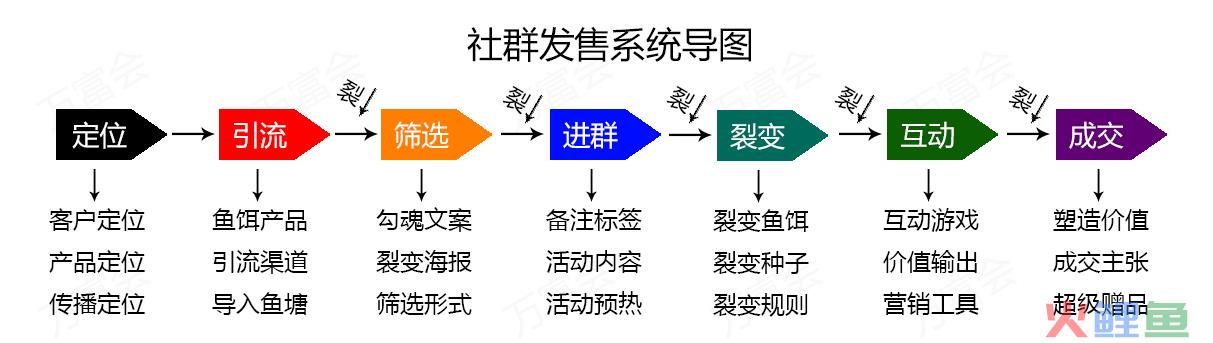 私域运营案例｜社群营销怎么做？5个步骤你就能轻松玩转社群运营