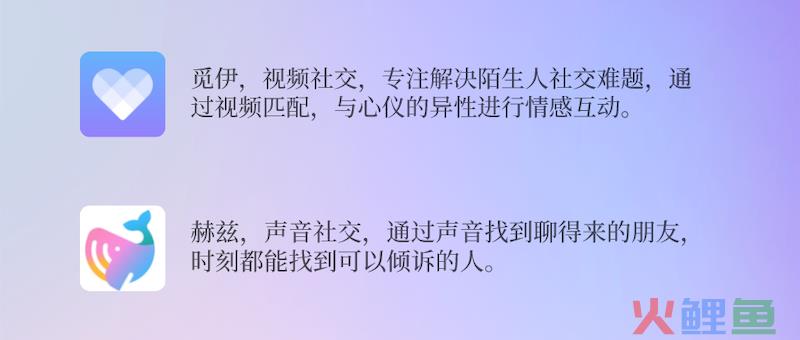 视频社交VS语音社交：觅伊、赫兹产品分析报告