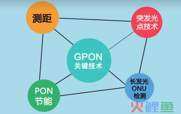 接入网概念及GPON关键技术