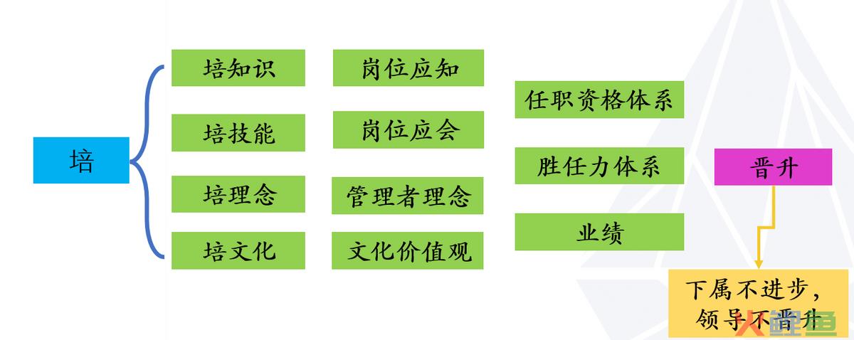 管理者应该具备的基本知识