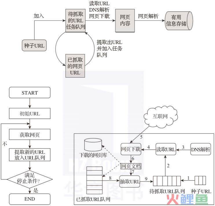 互联网爬虫是什么意思（分享有人把网络爬虫讲明白了）