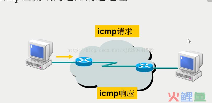 计算机网络的主要功能