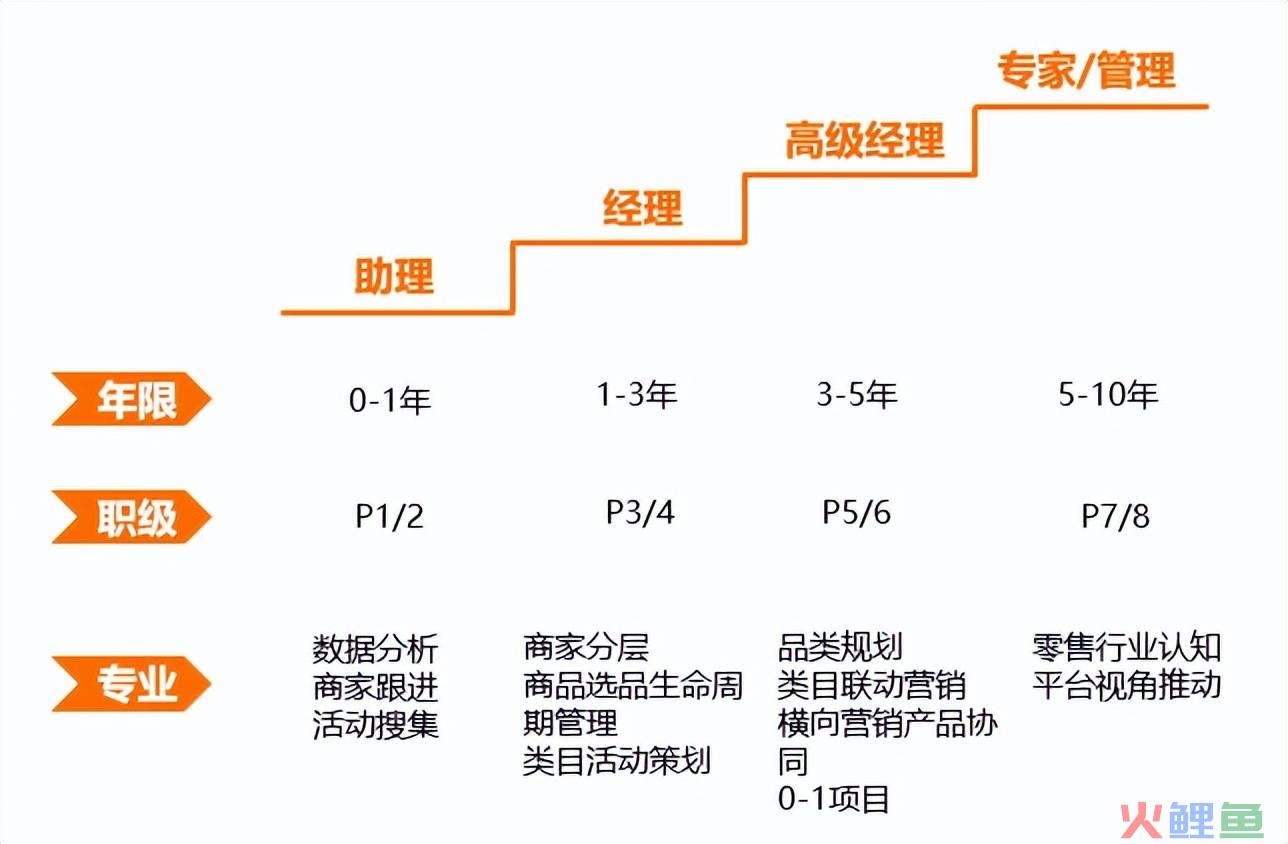 店铺运营是做什么的（解读商家运营的职业成长）