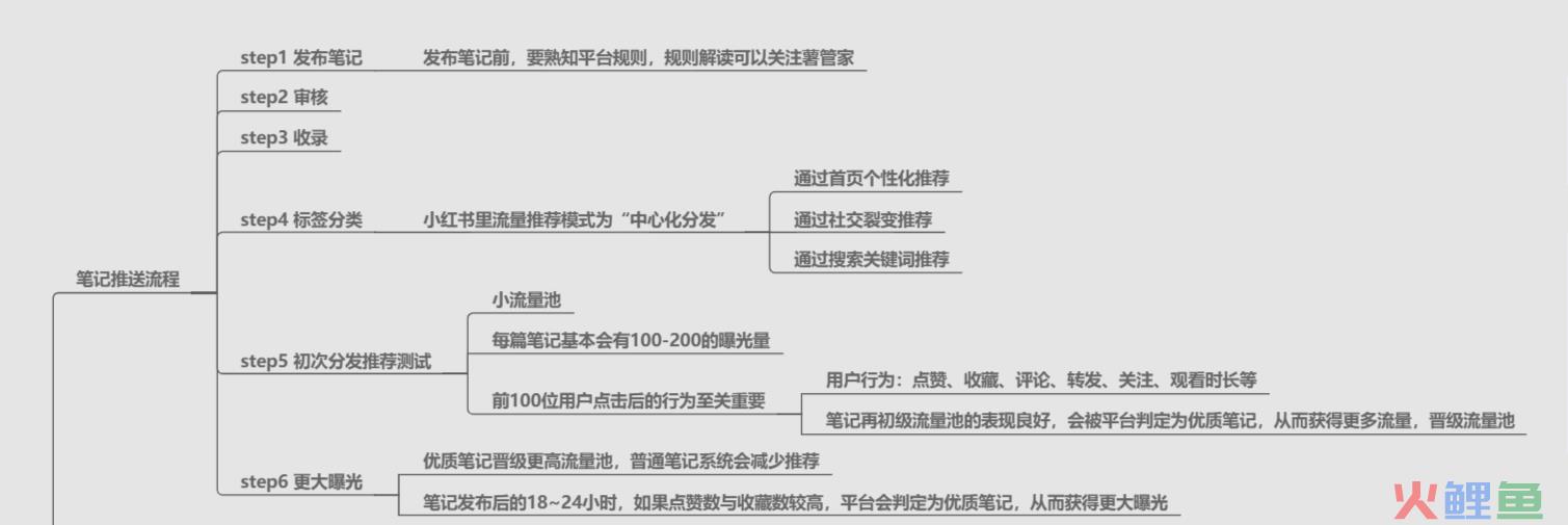 干货！小红书企业号如何打造爆款内容？