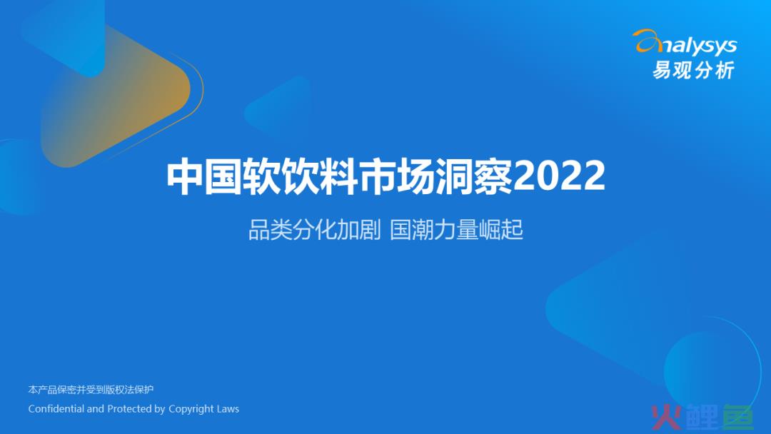 2022年中国软饮料市场洞察
