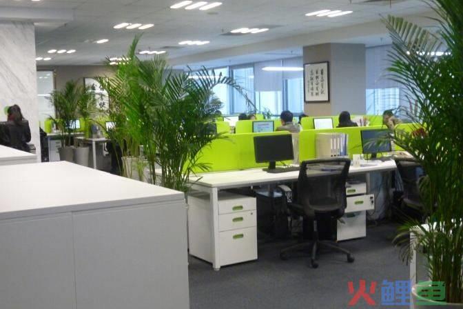 华为网络营销策略分析（解读华为成熟期阶段的营销策略）
