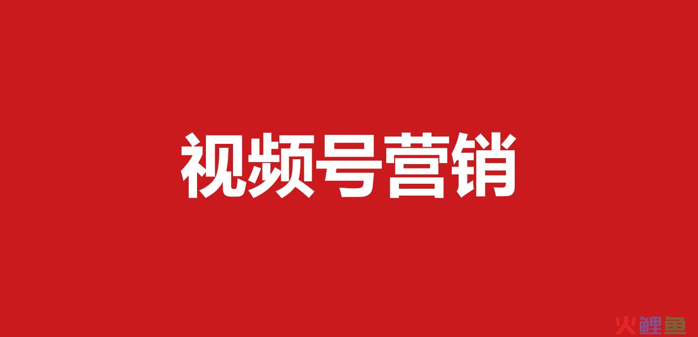 443-微信视频号营销方案（10份） 