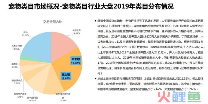 7000字讲透｜小红书宠物品牌玩转套路是这些