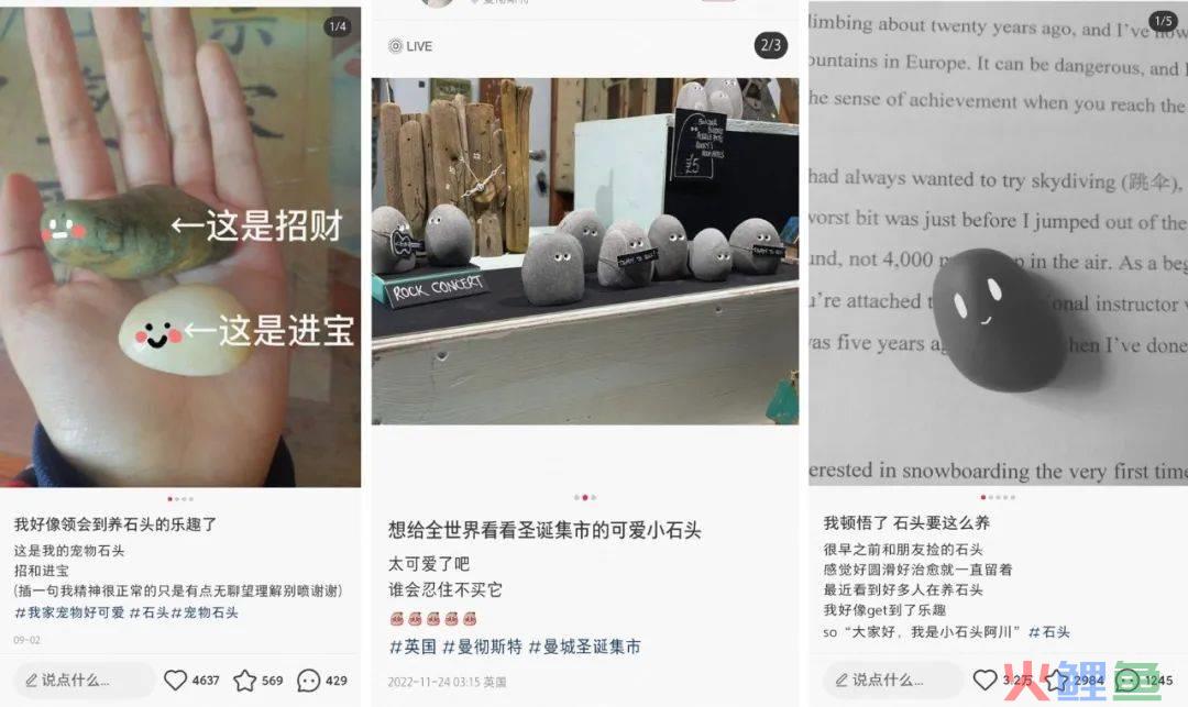靠“爬行”在小红书获赞数万，这届年轻人发起疯来也太迷惑了……