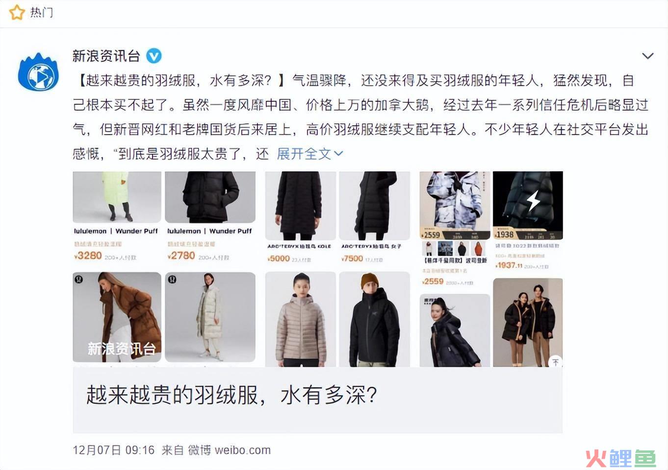 动辄上万元，高价羽绒服贵在哪？
