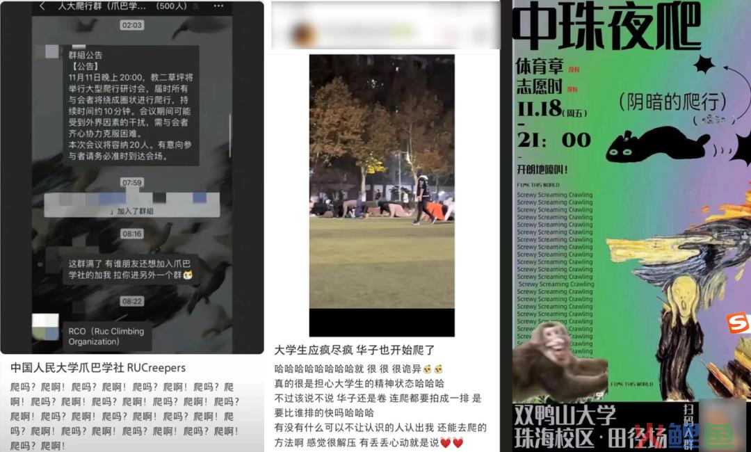 靠“爬行”在小红书获赞数万，这届年轻人发起疯来也太迷惑了……
