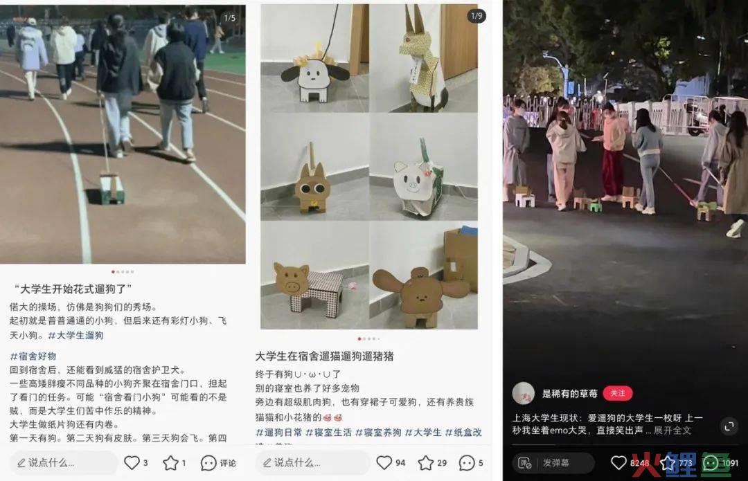 靠“爬行”在小红书获赞数万，这届年轻人发起疯来也太迷惑了……