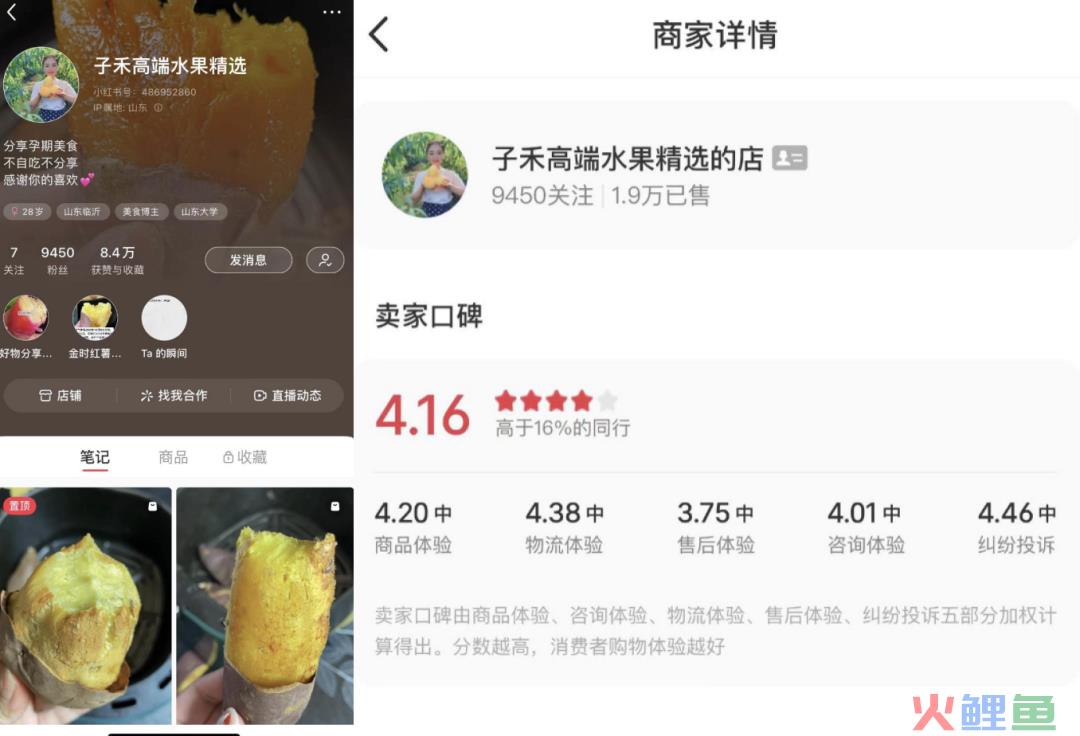 在小红书上做哪些副业,月入10w不是梦