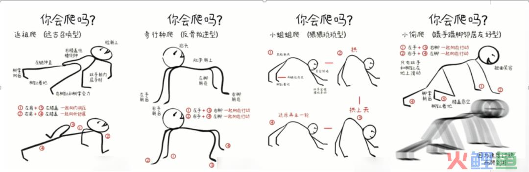 靠“爬行”在小红书获赞数万，这届年轻人发起疯来也太迷惑了……