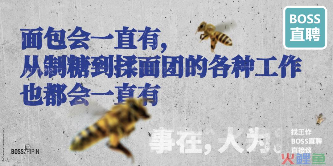 BOSS直聘17句文案:让人看一眼就忘不掉