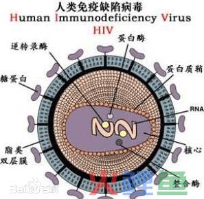 hiv (1)