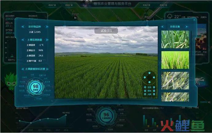 农业大数据服务平台，驱动数字农业发展 