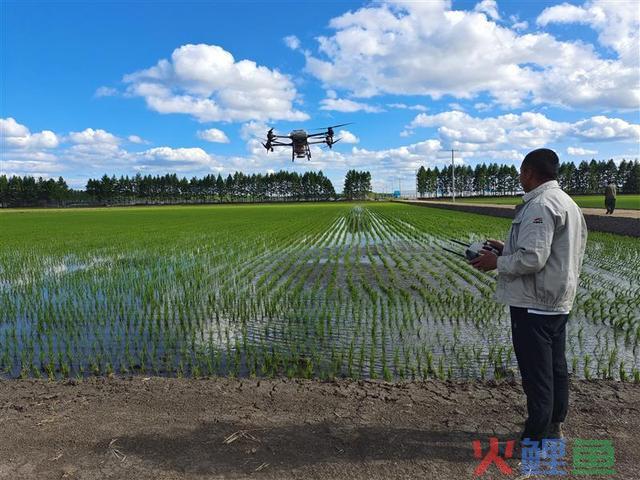 北大荒建三江分公司农业新科技应用提速 