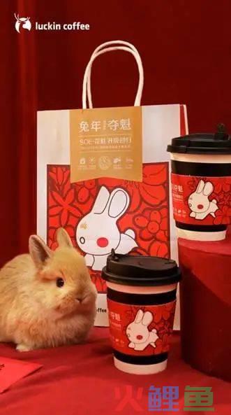 CNY，品牌“兔”出重围