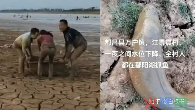 江西鄱阳湖水位下降是造成鱼类搁浅的主要原因之一 