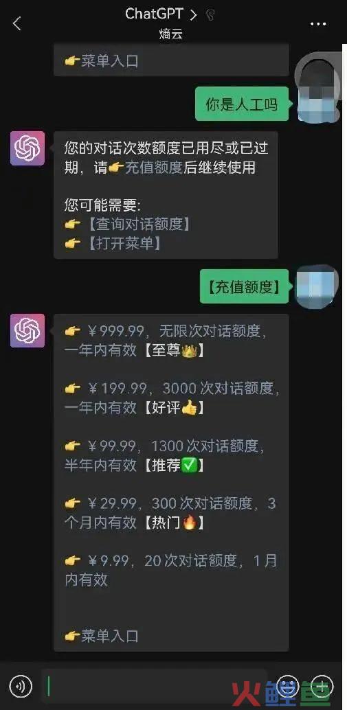 新晋财富密码ChatGPT，带火中间商生意月入过万