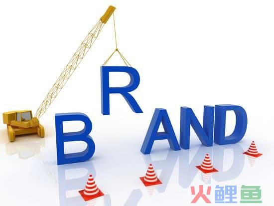 品牌 推广公司(抖音seo获客软件(抖音种草品牌推广公司))