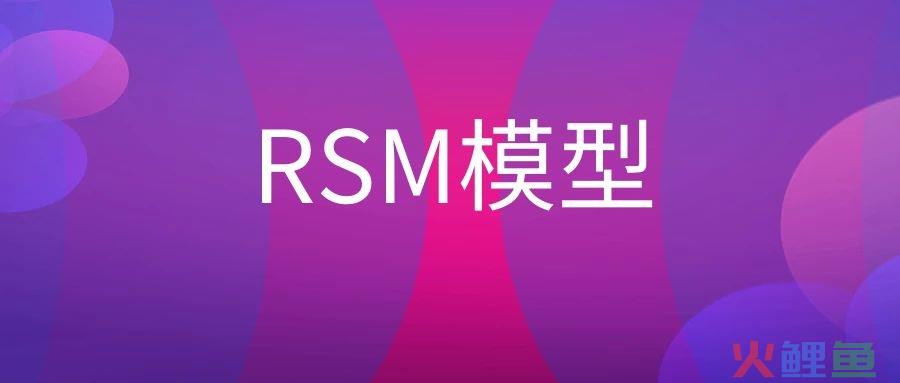 RSM模型是什么意思？