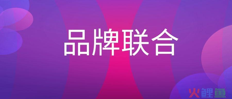 品牌联合是什么意思？
