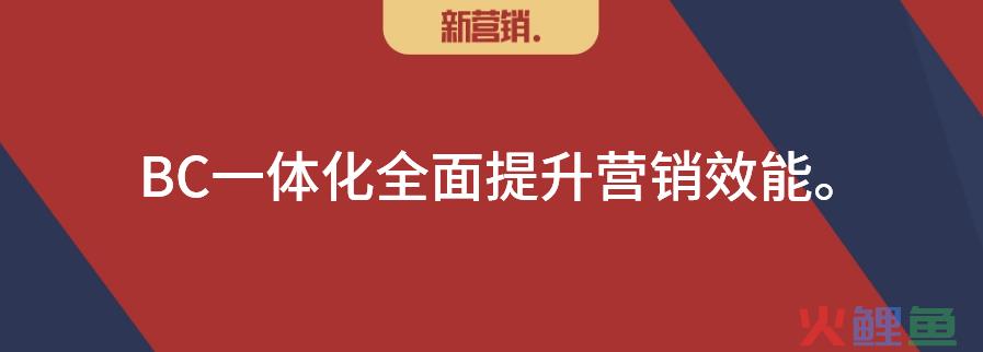 BC一体化：分销和动销一体化