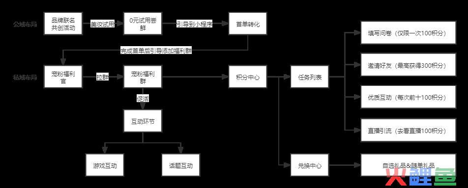 娇韵诗社群促活营销策略案例分析