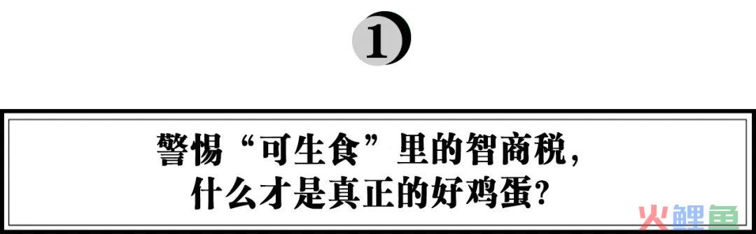 圣迪乐用长期主义构建鸡蛋品牌