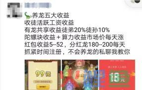 养龙游戏骗局？揭秘币圈项目的暴力赚钱真相  第13张