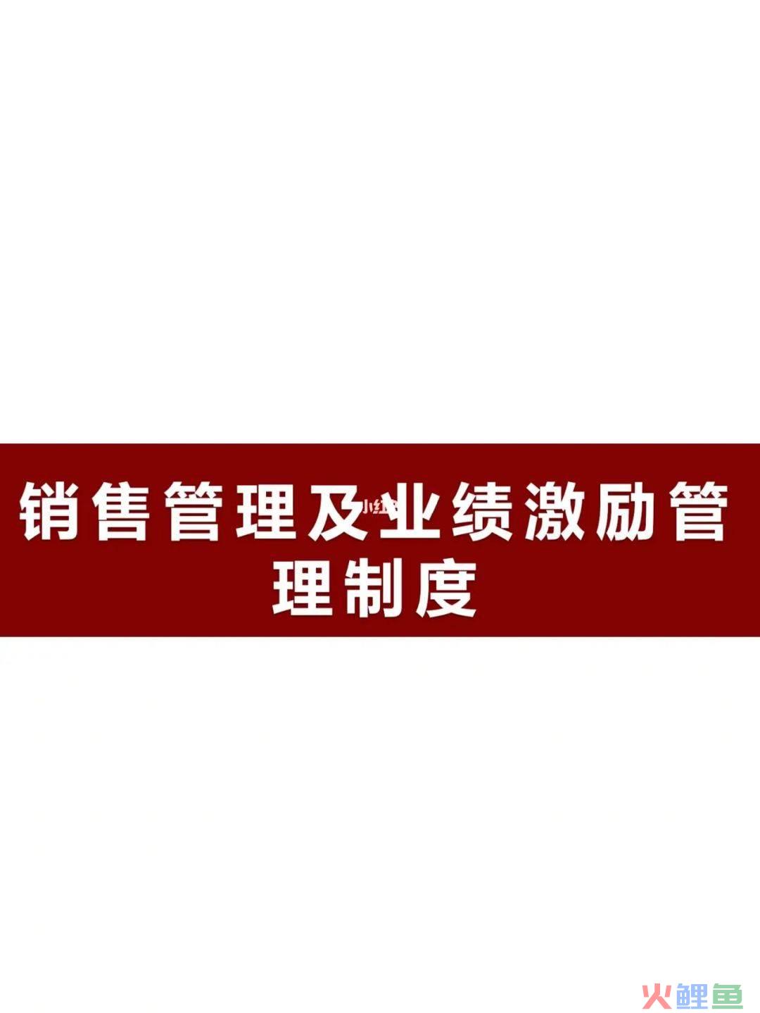 庞峰再营销：用nlp突破性营销系统构建全新盈利模式_营销团队构建_团队构建方案