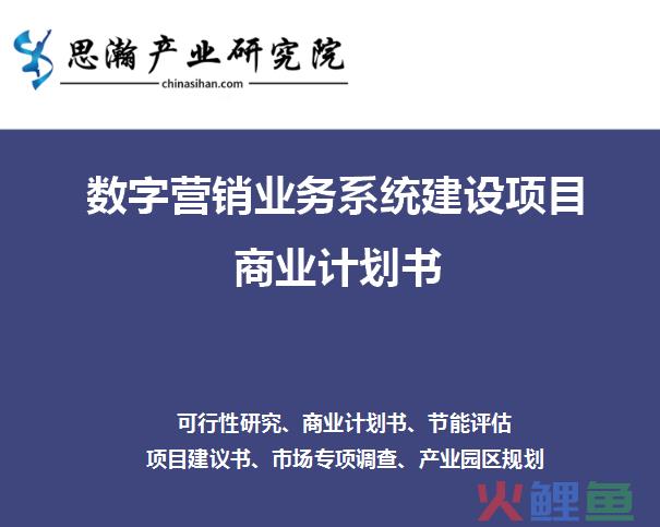 精准数字营销公司，数字营销业务系统建设项目商业计划书