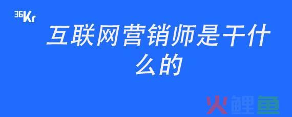 互联网营销平台208du，互联网营销师是干什么的