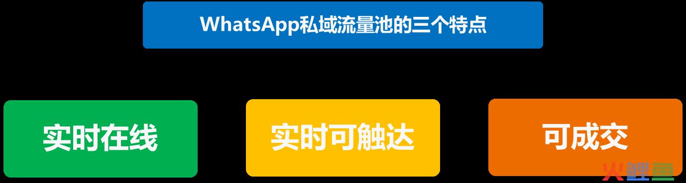 sns营销使用平台，构建WhatsApp社交营销获得出海业务的成功 3