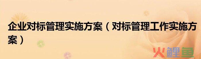 对标管理活动实施方案，企业对标管理实施方案 对标管理工作实施方案