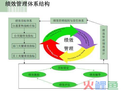 绩效管理的目的包括_动员的主要活动包括_绩效管理活动主要包括