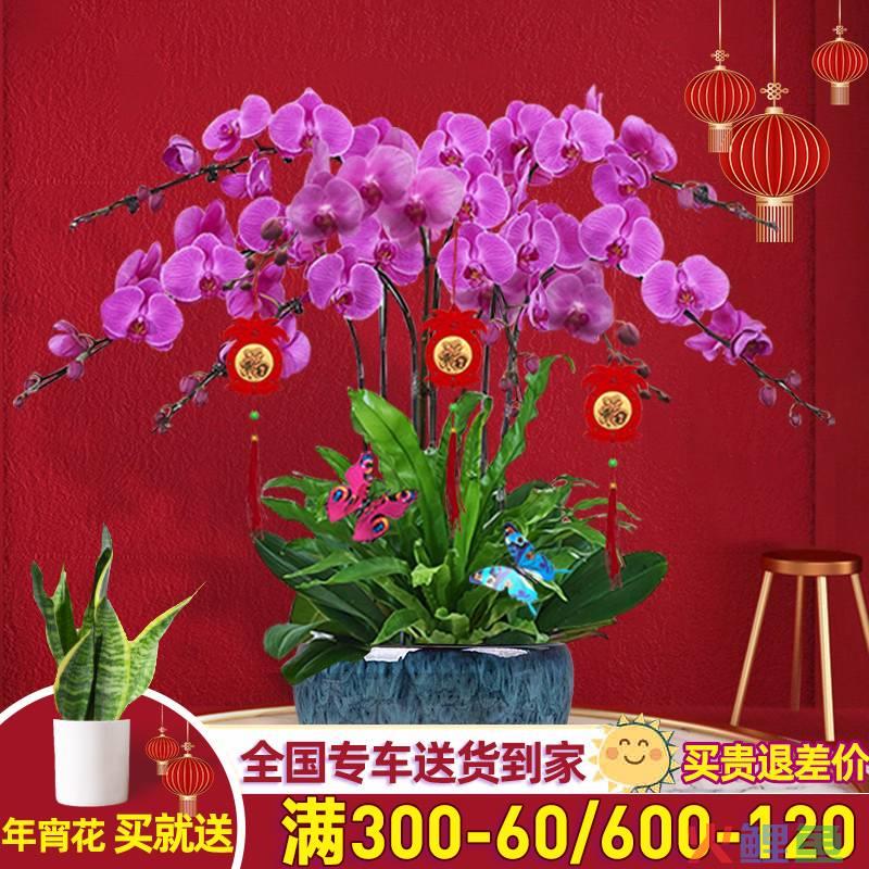 济宁订开业鲜花_鲜花市场 开业活动_鲜花市场 开业活动