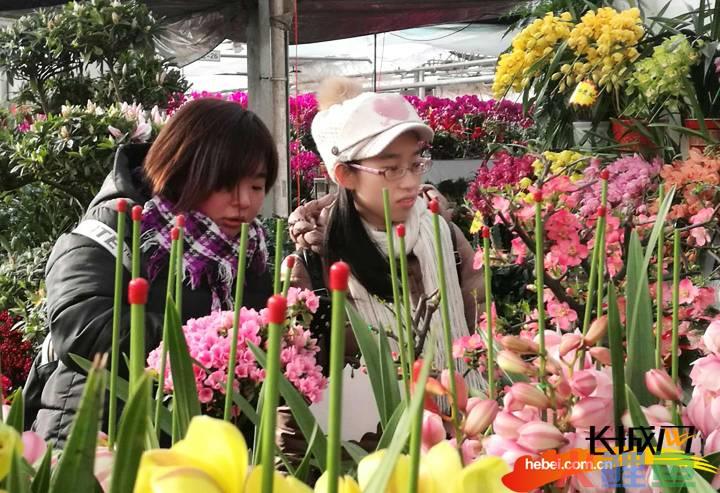 鲜花市场 开业活动_济宁订开业鲜花_鲜花市场 开业活动